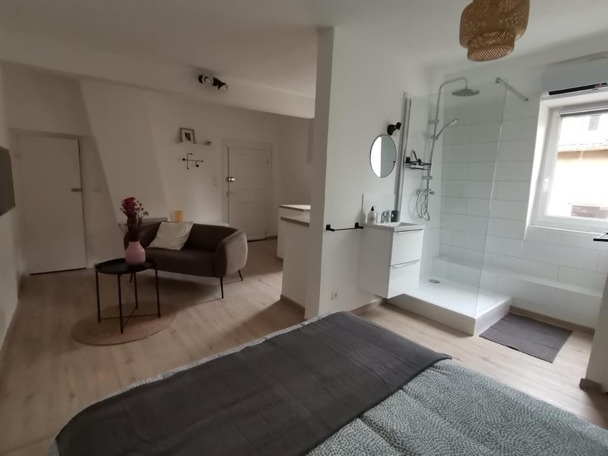 Toi Mon Toit Apartment Colmar Exterior photo